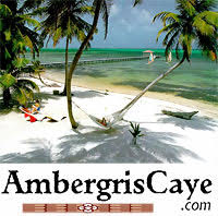 AmbergrisCaye.com